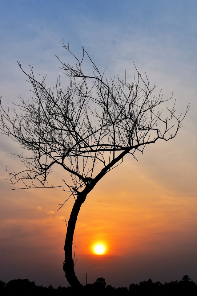 End of the Sun end of the life