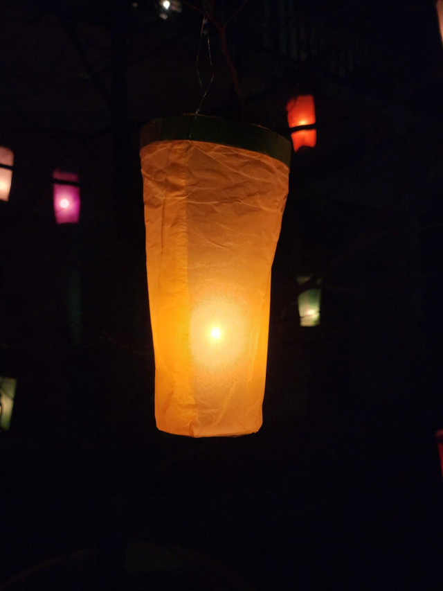 Beauti of vesak