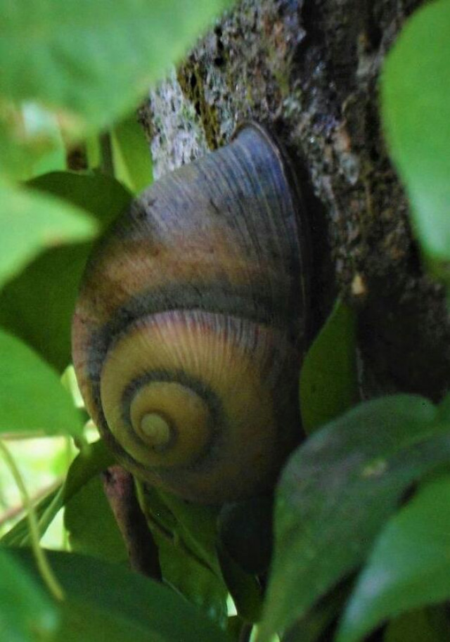 Slow and Swirly