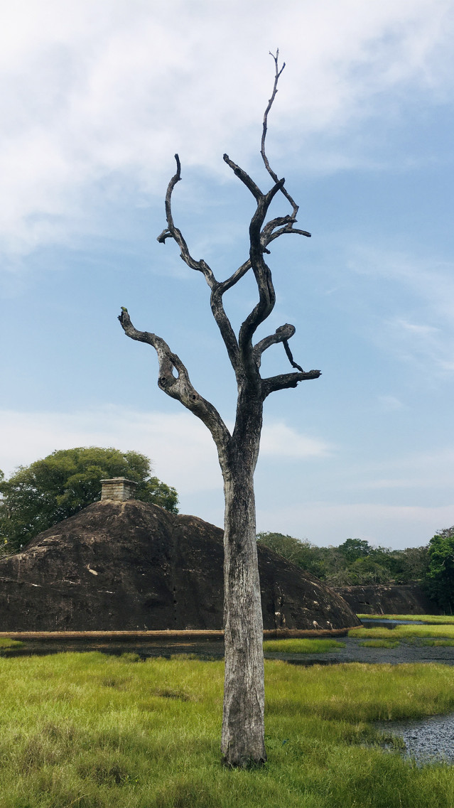 නිමාවක්