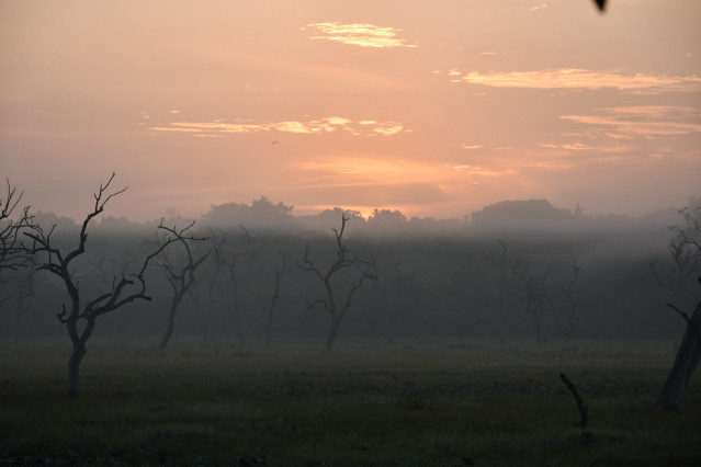 Sun Rise
