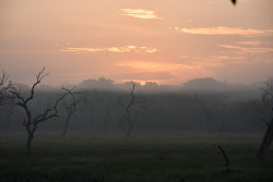 Sun Rise