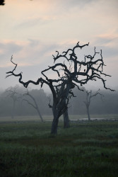 End Of Life