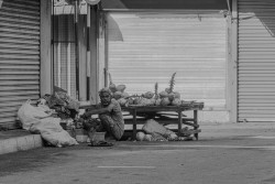 Kingcoconut seller