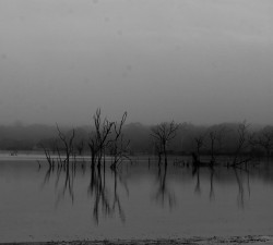 The lake of grey