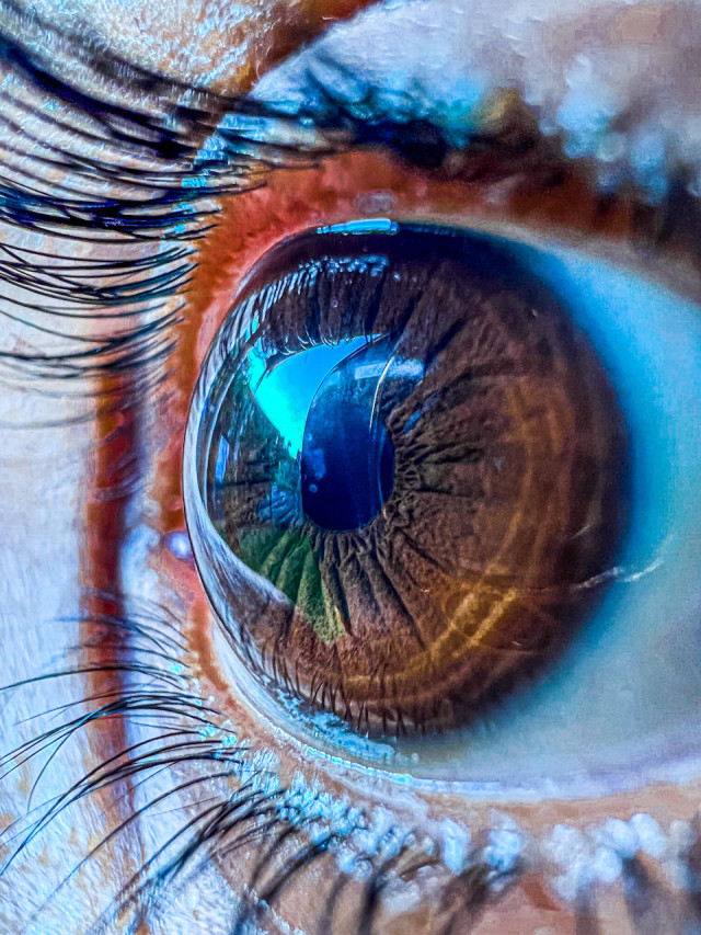The Magnification of Human Perception