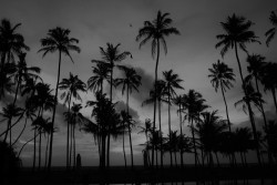 Evenings