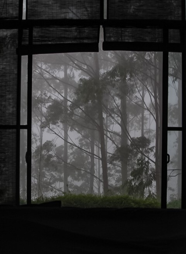 The Misty Window
