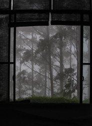 The Misty Window