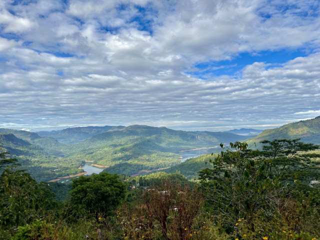Nature's Beauty