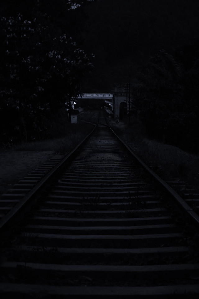 Life Track