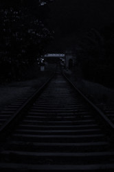 Life Track