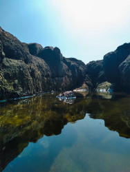 beauty of the hidden world