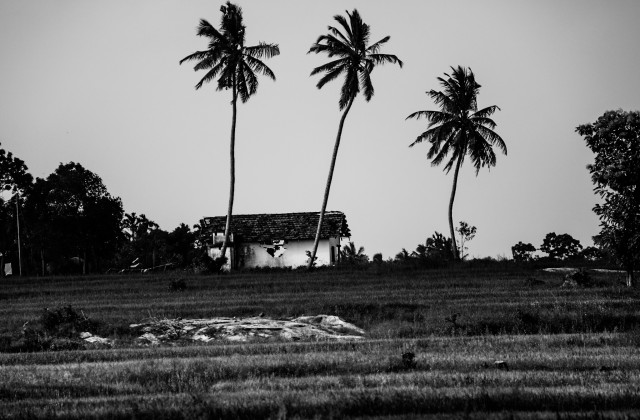 2=Color and Monochrome