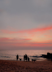 Evening Sunset