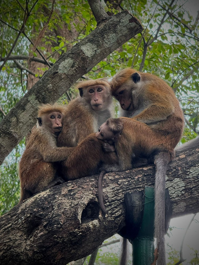 Family gathering