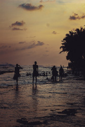 Evening
