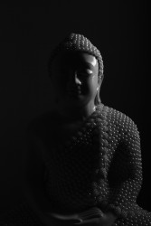 The Loard Buddha
