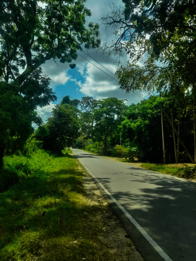 Nature