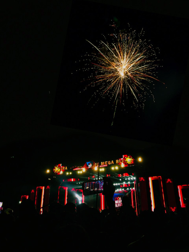 Fire works in the dark sky