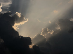 Lights of the heaven