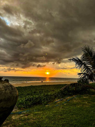 Evening sunset
