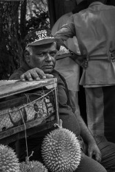Street Vendor