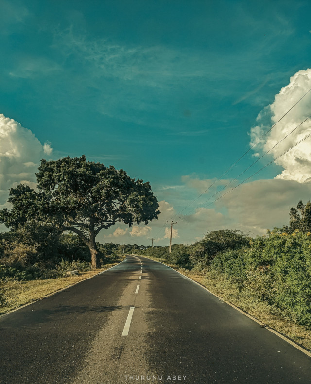 Travel