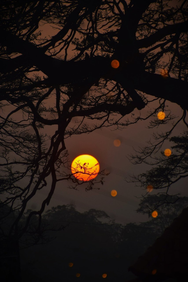Sunrise Twilight