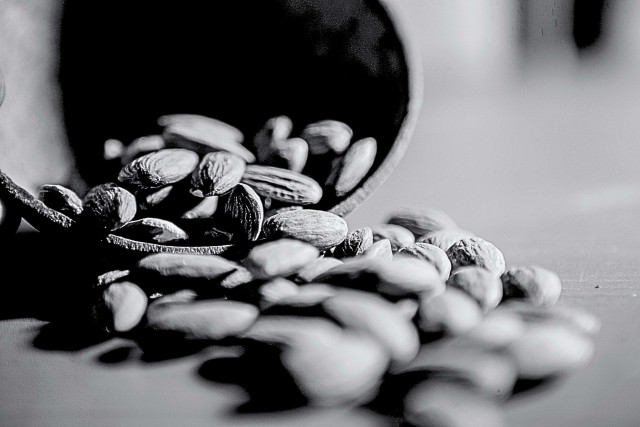 Shades of Nuts