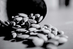 Shades of Nuts