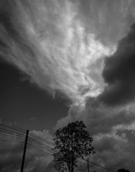 Cloudy Sky
