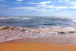 Vitamin sea