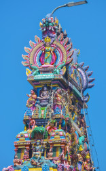 Kovil