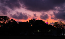 Evening sky