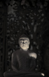Buddha