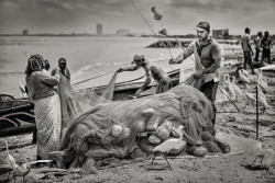 Shore Mess