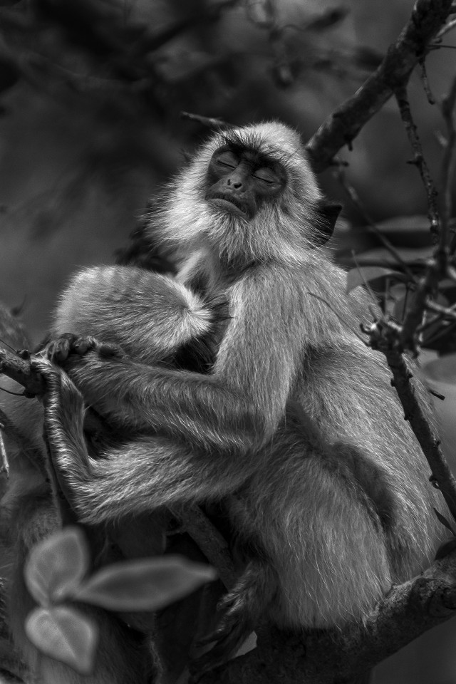 Mother's Care
