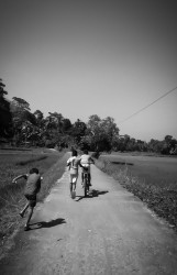 The Freedom