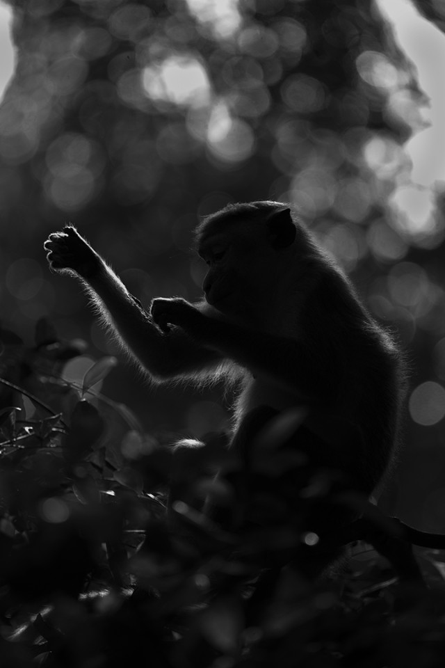 අදුර මැදින්