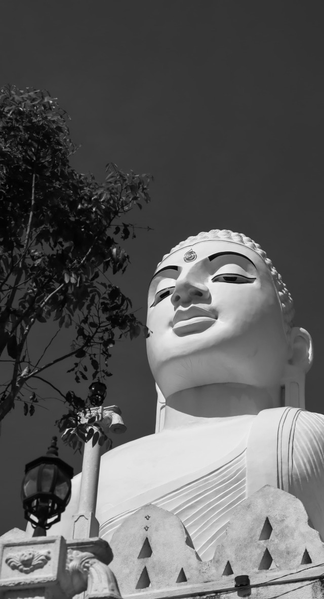 Buddha statues