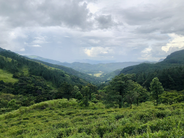 Knuckles Conservation Forest