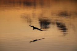 A beautiful moment of sunset is one of the most beautiful moments of a photographer.