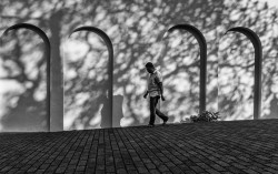 Shadows of a Stroll