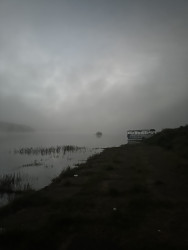 Journey into Stillness