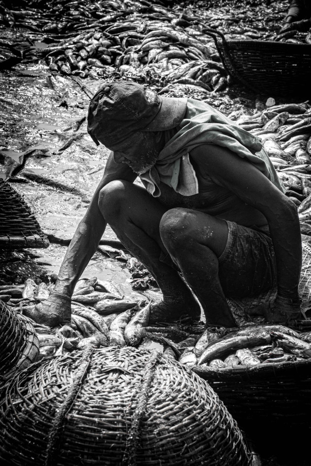 Life among death