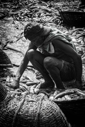 Life among death