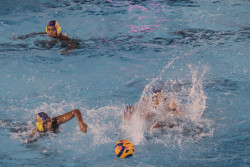 Water Sports