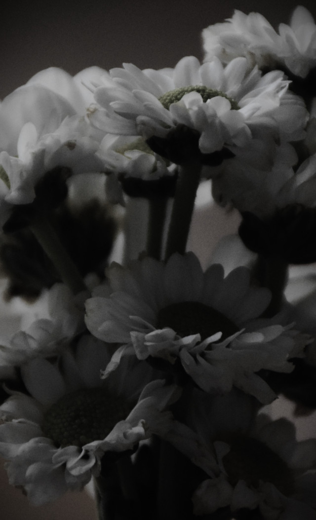 floral