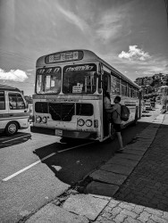 Semi luxury Public Transport Service